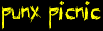 punx picnic